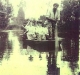 1901-1